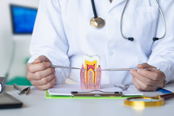 Best Emergency Dental Care for Broken or Chipped Teeth in Ovilla, TX